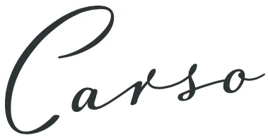 Логотип NOIS Carso