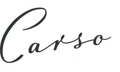 Логотип NOIS Carso