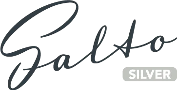 NOIS Salto Silver logo